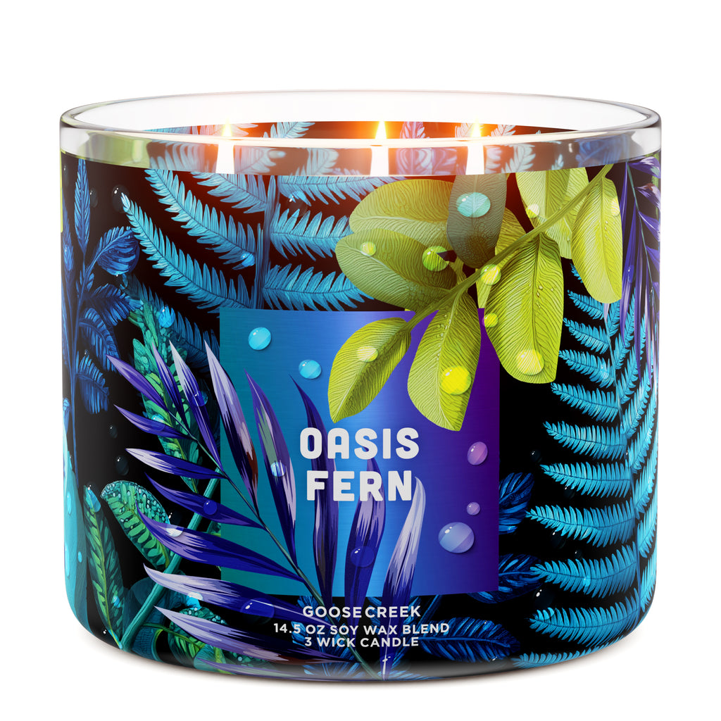blue star fern candle Oasis Fern 3-Wick Candle | Relaxing Scents