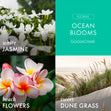 Load image into Gallery viewer, Ocean Blooms 3-Wick Candle
