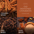 Load image into Gallery viewer, Old Fashioned Cinnamon 3-Wick Candle
