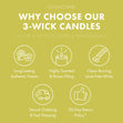 Load image into Gallery viewer, Old Time Lemonade 3-Wick Candle
