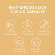 Load image into Gallery viewer, Orange Cream Sherbet 3-Wick Candle

