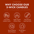 Load image into Gallery viewer, Palo Santo Coconut 3-Wick Candle
