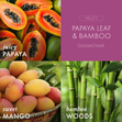 Load image into Gallery viewer, Papaya Leaf &amp;amp; Bamboo 3-Wick Candle
