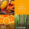 Load image into Gallery viewer, Papaya Paradise 3-Wick Candle
