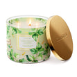 Load image into Gallery viewer, Patchouli Leaves 3-Wick Candle
