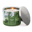 Load image into Gallery viewer, Patchouli Leaves 3-Wick Candle
