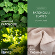 Load image into Gallery viewer, Patchouli Leaves 3-Wick Candle
