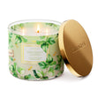 Load image into Gallery viewer, Patchouli Leaves 3-Wick Candle
