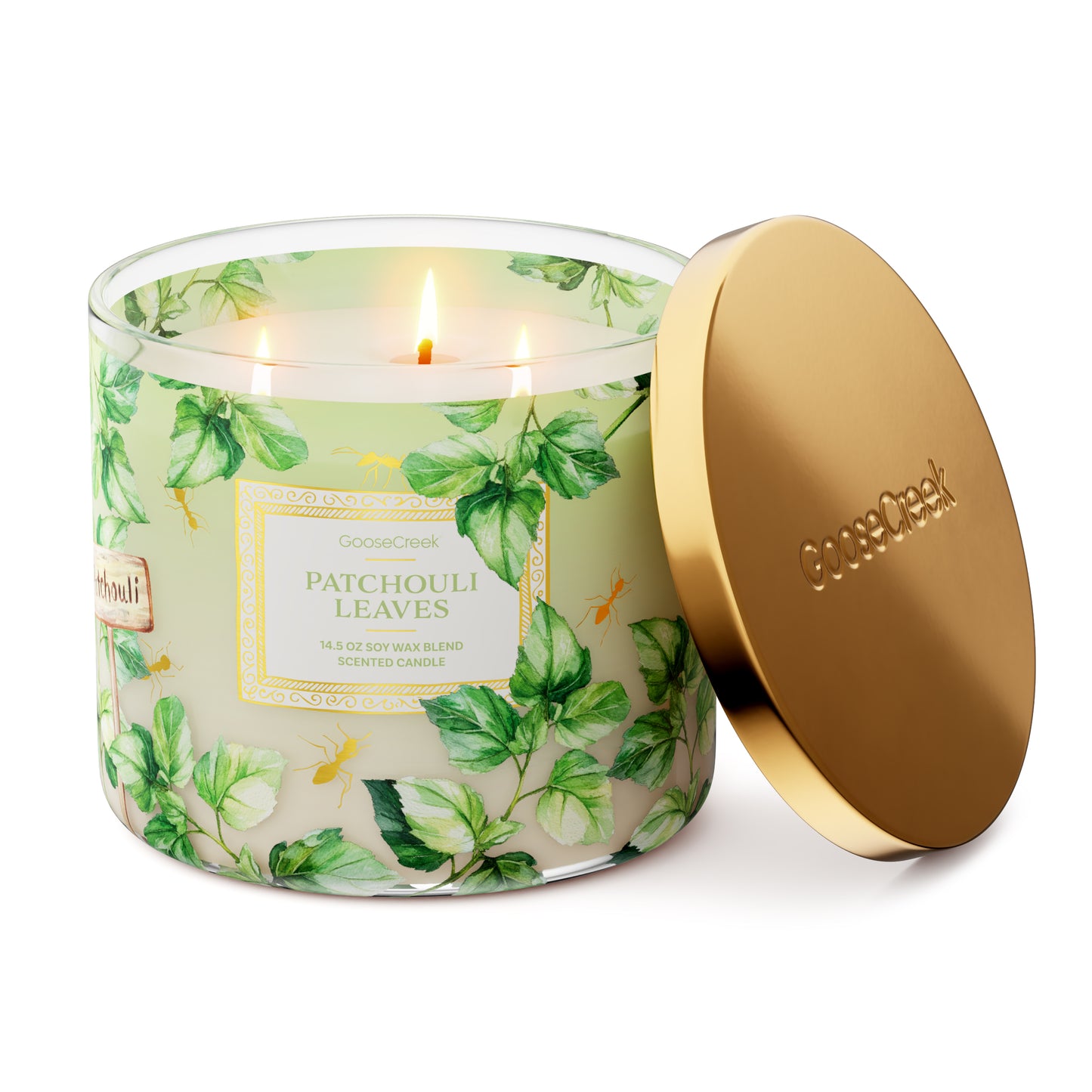 Patchouli Leaves 3-Wick Candle