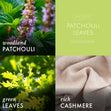 Load image into Gallery viewer, Patchouli Leaves 3-Wick Candle
