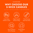 Load image into Gallery viewer, Peach Rings 3-Wick Candle

