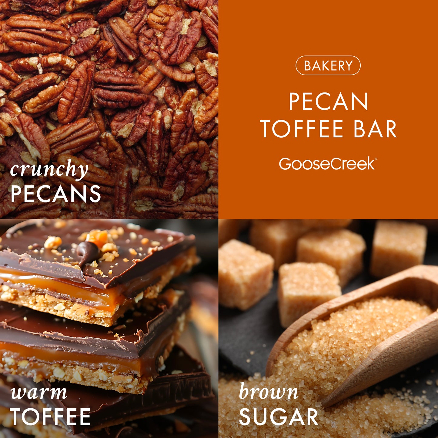Pecan Toffee Bar 3-Wick Candle