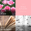 Load image into Gallery viewer, Petals &amp;amp; Poetry 3-Wick Candle

