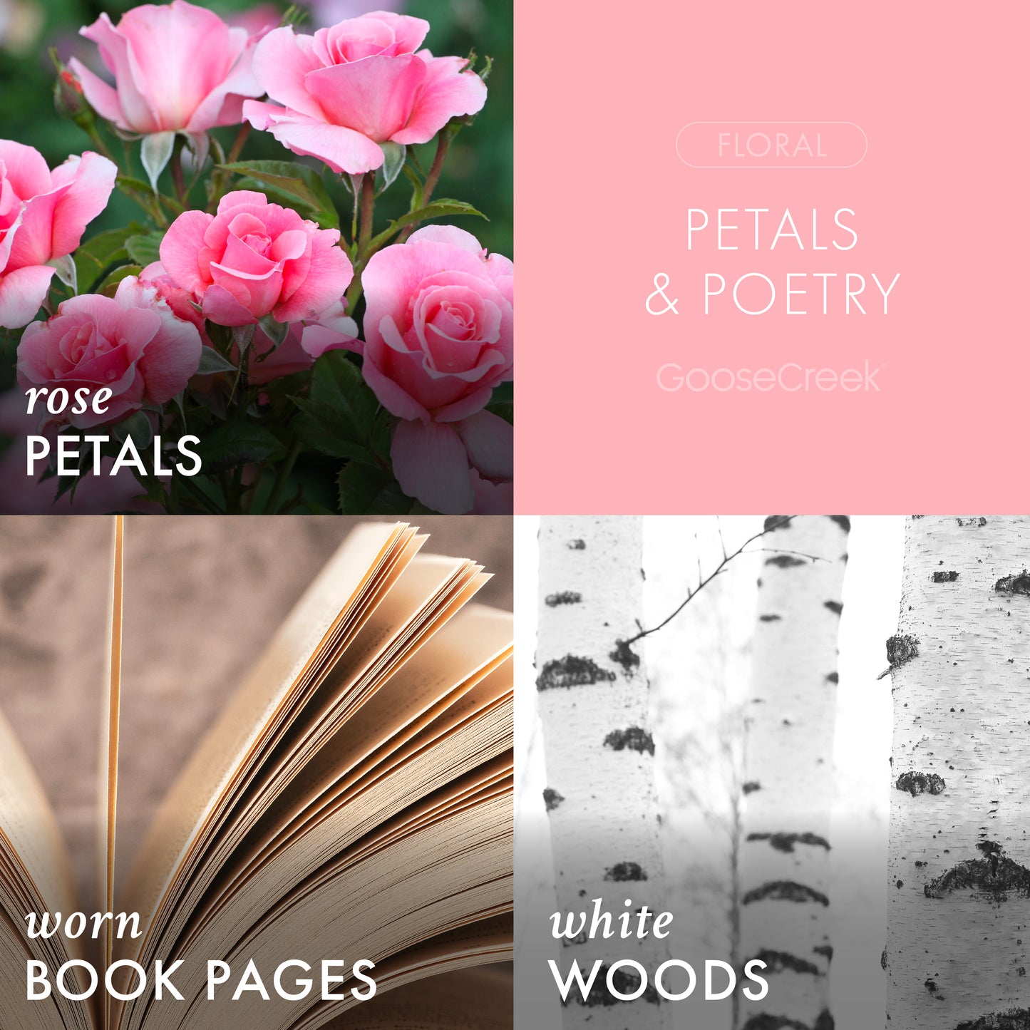 Petals & Poetry 3-Wick Candle