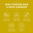 Load image into Gallery viewer, Pina Colada 3-Wick Candle
