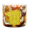 Pina Colada 3-Wick Candle