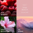 Load image into Gallery viewer, Pink Beach 3-Wick Candle

