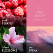 Load image into Gallery viewer, Pink Beach Wax Melt
