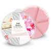 Pink Beach Wax Melt