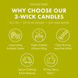 Load image into Gallery viewer, Pistachio Biscotti 3-Wick Candle

