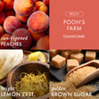 Load image into Gallery viewer, Winnie the Pooh 4-Pack Collector&amp;#39;s Box
