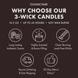 Load image into Gallery viewer, Public Library Ghostbusters 3-Wick Candle

