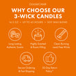 Load image into Gallery viewer, Pumpkin Pistachio Creme 3-Wick Candle
