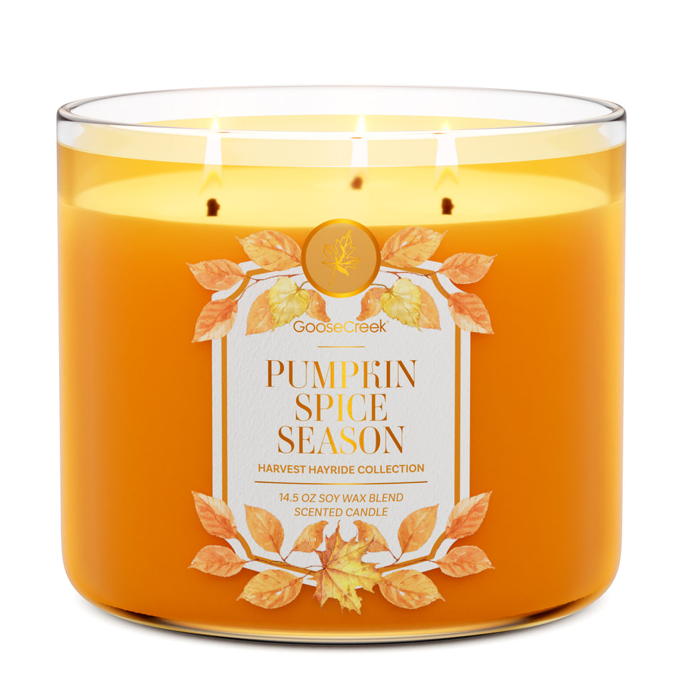 Pumpkin Spice Season 3-Wick Candle