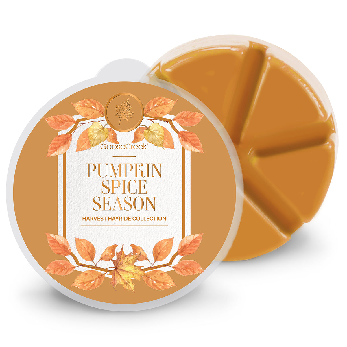 Pumpkin Spice Season Wax Melt