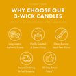 Load image into Gallery viewer, Queen Bee 3-Wick Candle
