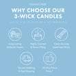 Load image into Gallery viewer, Rocket Power Nickelodeon 3-Wick Candle
