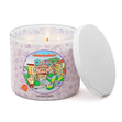 Load image into Gallery viewer, Rocko&amp;#39;s Modern Life Nickelodeon 3-Wick Candle
