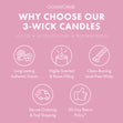 Load image into Gallery viewer, Rocko&amp;#39;s Modern Life Nickelodeon 3-Wick Candle
