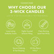Load image into Gallery viewer, Rugrats Nickelodeon 3-Wick Candle
