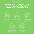 Load image into Gallery viewer, Saltwater Seagrass 3-Wick Candle
