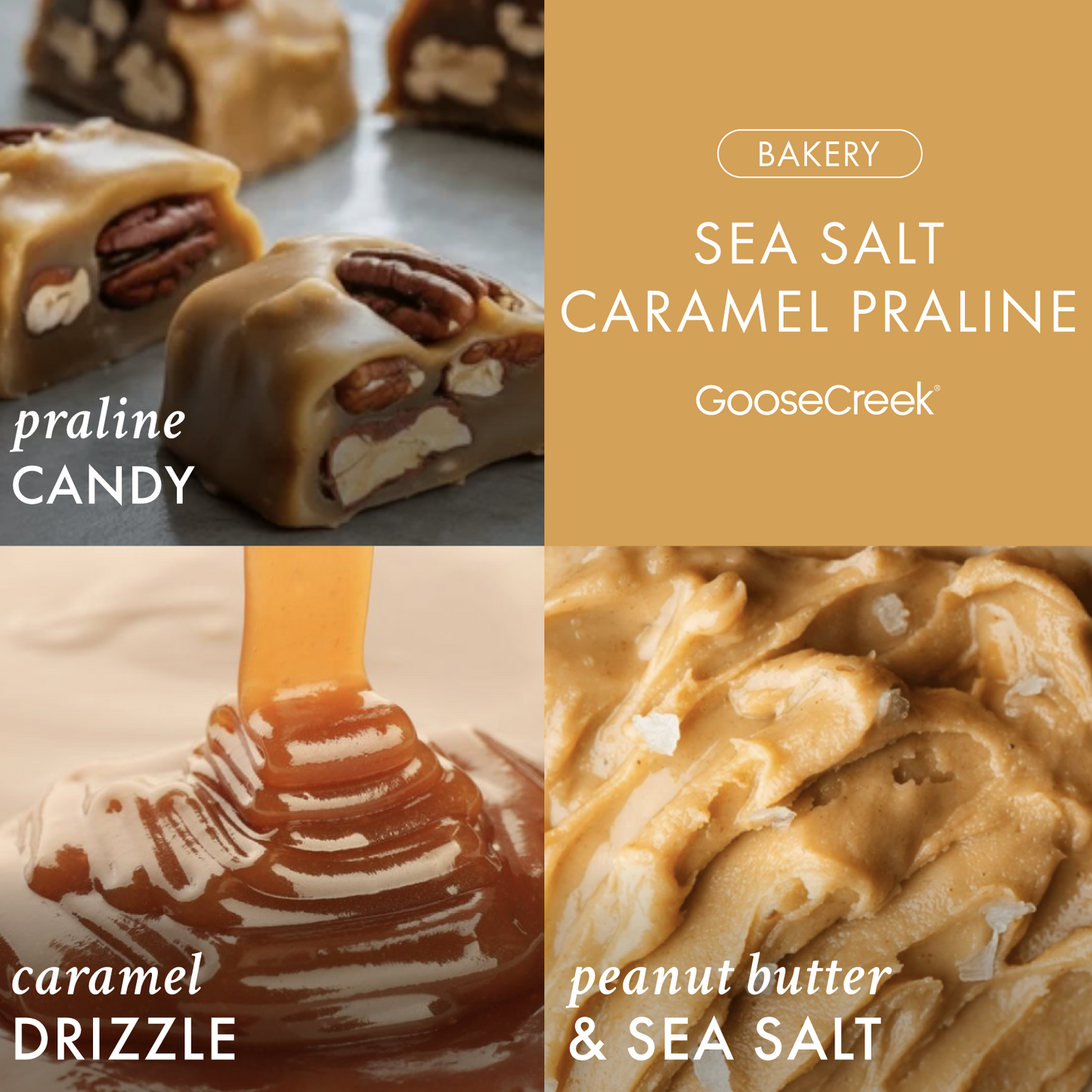 Sea Salt Caramel Praline 3-Wick Candle