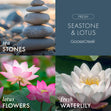 Load image into Gallery viewer, Seastone &amp;amp; Lotus 3-Wick Candle
