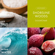 Load image into Gallery viewer, Shoreline Woods 3-Wick Candle
