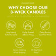 Load image into Gallery viewer, Shoreline Woods 3-Wick Candle
