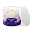 Load image into Gallery viewer, Skillet Blueberry Cobbler 3-Wick Candle
