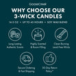 Load image into Gallery viewer, Slimer Ghostbusters 3-Wick Candle
