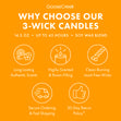 Load image into Gallery viewer, Snowberry Bellini 3-Wick Candle
