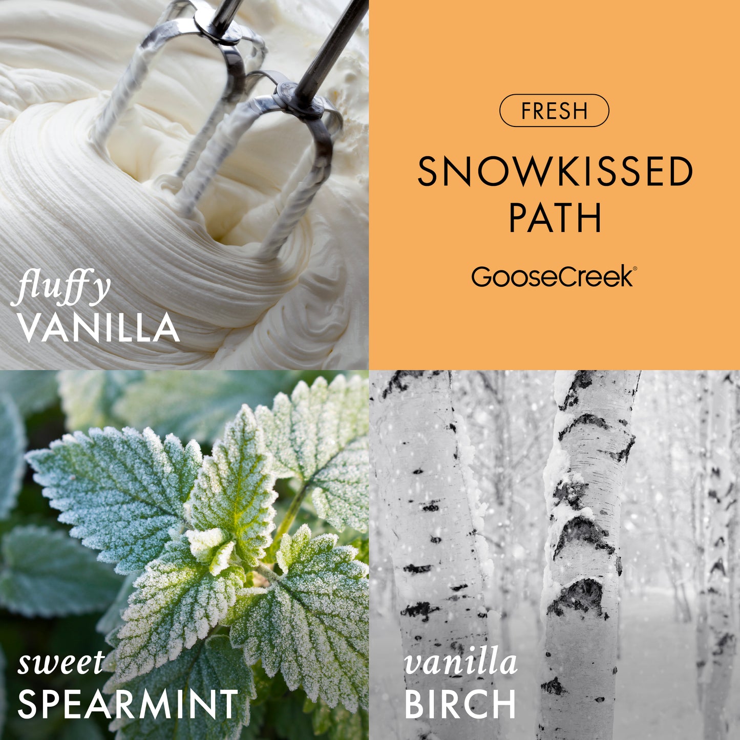 Snowkissed Path 3-Wick Candle