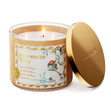 Load image into Gallery viewer, Snowkissed Path 3-Wick Candle
