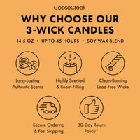 Snowkissed Path 3-Wick Candle