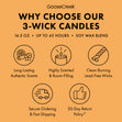Load image into Gallery viewer, Snowkissed Path 3-Wick Candle
