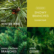 Load image into Gallery viewer, Snowy Branches 3-Wick Candle

