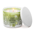 Load image into Gallery viewer, Snowy Branches 3-Wick Candle
