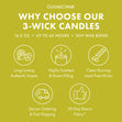 Load image into Gallery viewer, Snowy Branches 3-Wick Candle
