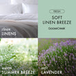 Load image into Gallery viewer, Soft Linen Breeze High Intensity 3-Wick 14.5oz Candle

